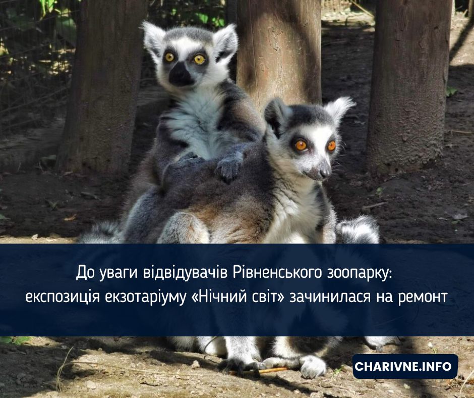 До уваги відвідувачів Рівненського зоопарку: експозиція екзотаріуму «Нічний світ» зачинилася на ремонт
